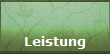 Leistung