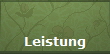 Leistung